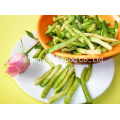 Wholesale Vacuum Fried Products Vf Green Radish Sticks